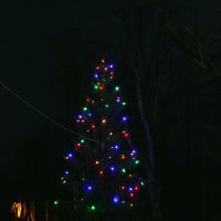 Fotografie alba Rozsvícení vánočního stromu 2015