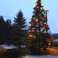 Fotografie alba Rozsvícení vánočního stromu 2018
